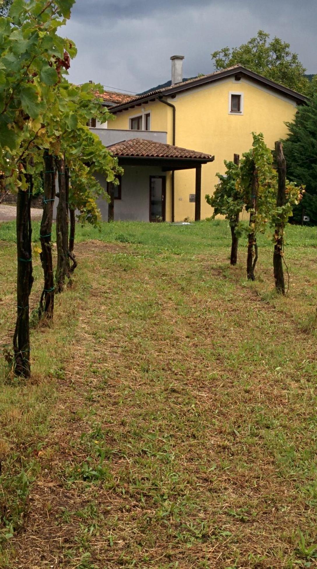 Small House In Vipava Valley Extérieur photo