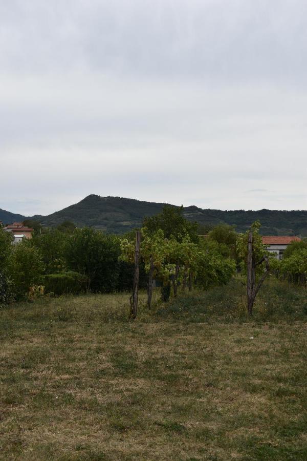 Small House In Vipava Valley Extérieur photo